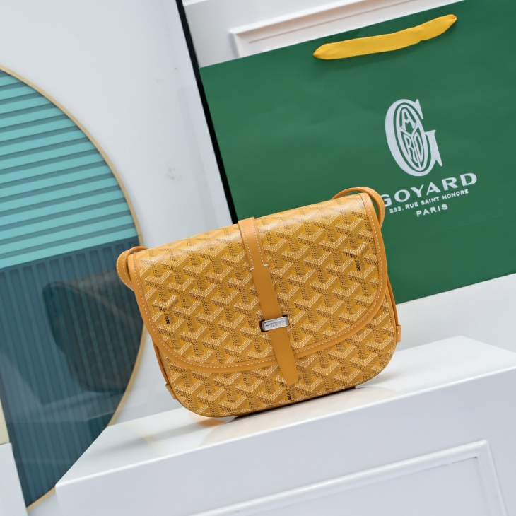 Picture of Goyard Handbags _SKUfw225670141fw